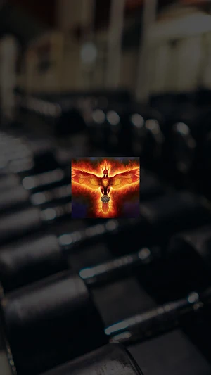Phoenix Fitness Screenshot 0