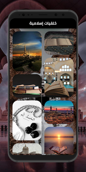 Quran - Muhammad Dibirov Screenshot 2