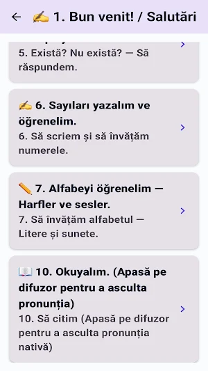Limba turcă explicată Screenshot 2