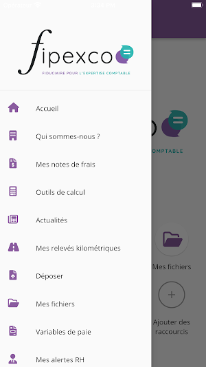 FIPEXCO AMEXCO Screenshot 2