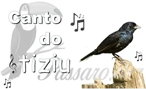 Canto do Tiziu Screenshot 0