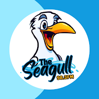 The Seagull Radio