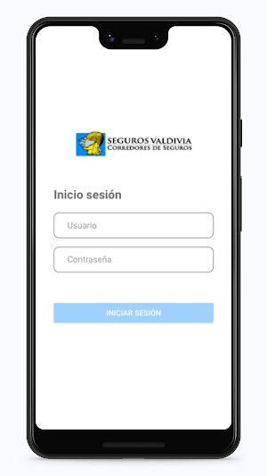 Valdivianet Screenshot 0
