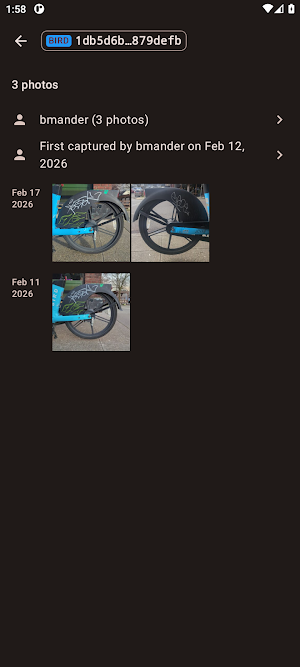The City and the Bike Screenshot 3
