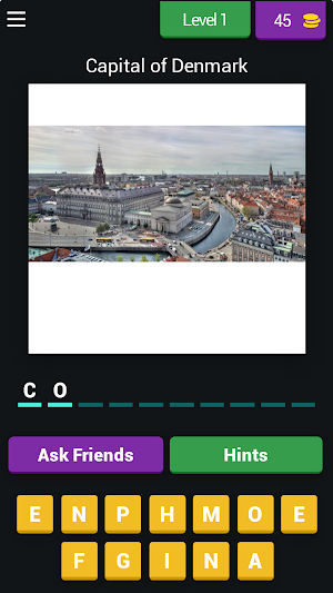 Guess the World Capitals Quiz Screenshot 0