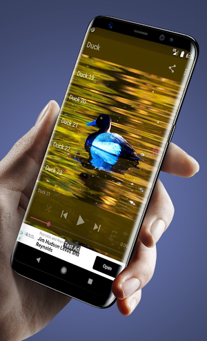 Sounds and Bells of Ducks Screenshot 0