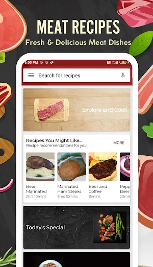 Meat Recipes Screenshot 0