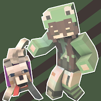 Aesthetic Skins