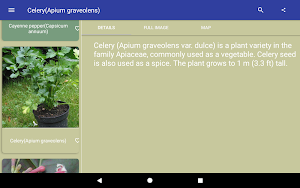 Herbal Remedies Screenshot 3