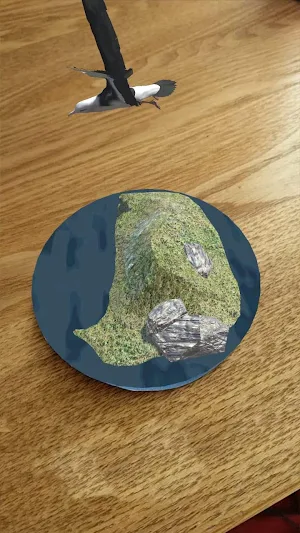 This is Patagonia RA Screenshot 2
