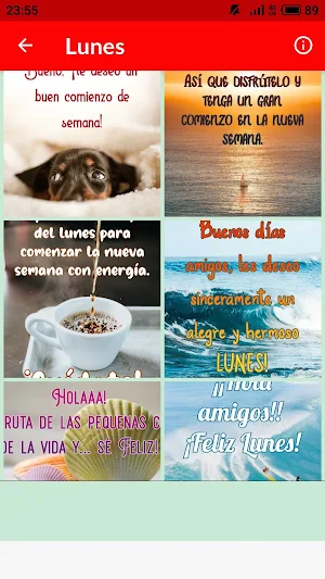 Saludos Días de la Semana Screenshot 0