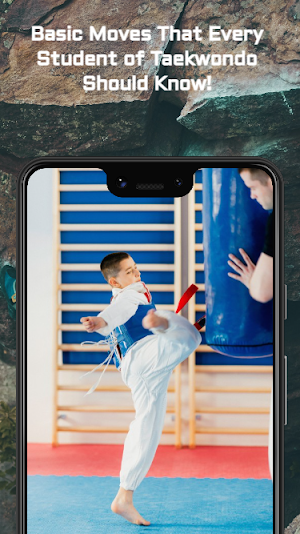 Taekwondo Moves Guide Screenshot 0