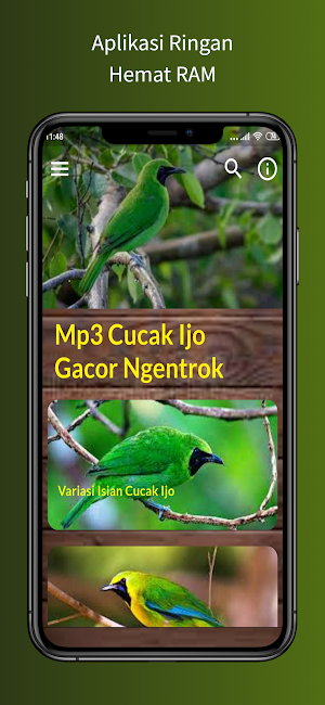 Cucak Ijo Gacor Ngentrok Screenshot 1