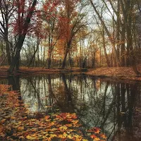 Autumn Wallpaper
