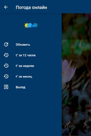 Погода в Москве онлайн Screenshot 1