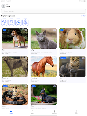 Lost Pets Online Screenshot 3