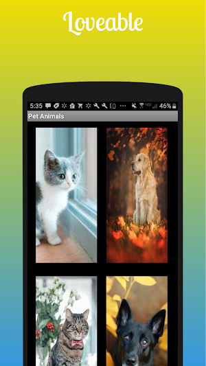 Wallscreens Screenshot 3