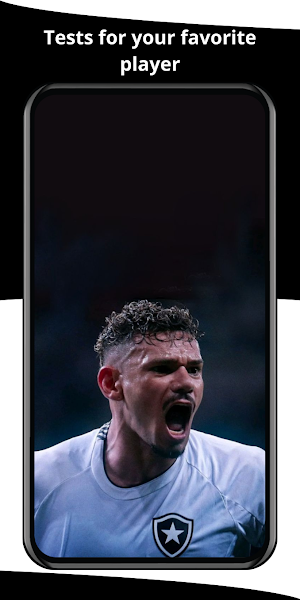 Botafogo Wallpaper 2024 Screenshot 3