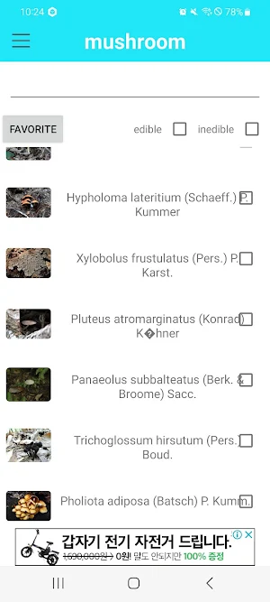 mushroom Screenshot 0
