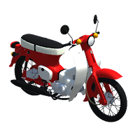 CrazyMoto