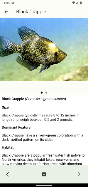 Wildlife of Texas Screenshot 2