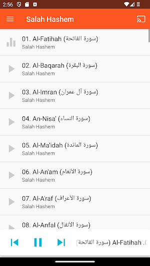 Salah Hashem Full Quran MP3 Screenshot 0