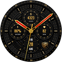 Analog TITAN WS18 Watch face