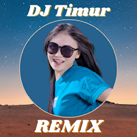 DJ Timur Mp3 Remix Offline
