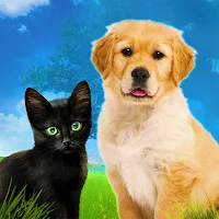 Animal Shelter Pet Simulator