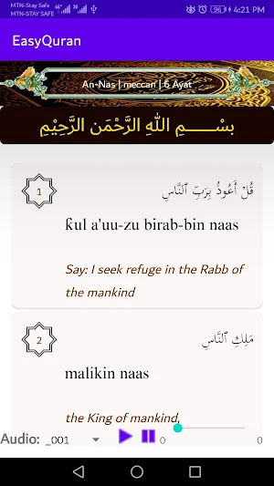 EasyQuran Screenshot 2