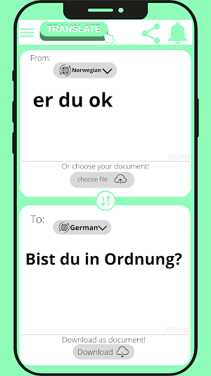 German - Norwegian Translator Screenshot 2