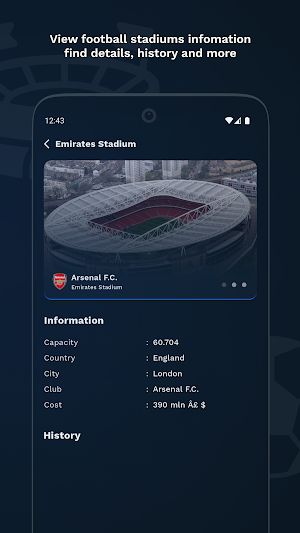 Football Stadium: in the World Screenshot 3