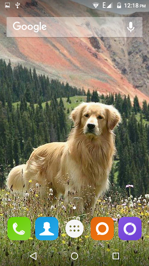 Golden Retriever Dog Wallpaper Screenshot 3