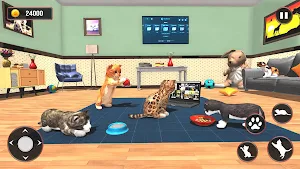 Kitty Cat Simulator Tommy Game Screenshot 1