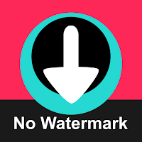 Video Downloader for TT