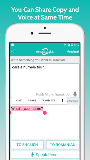 Romanian English Translator Screenshot 3