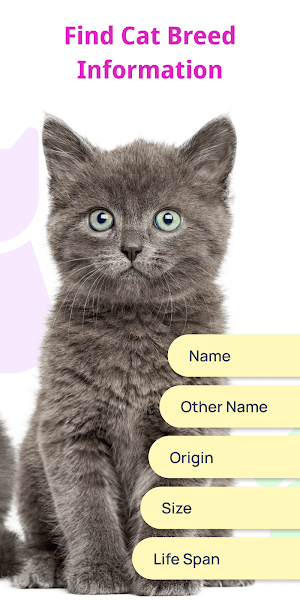 Cat Recognition by Photo Screenshot 2
