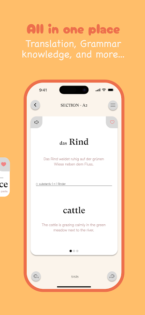 Learn German - Deutsch Master Screenshot 3