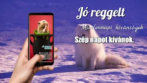 Hungarian Morning & Night Screenshot 3