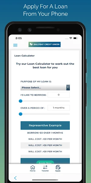 Ballybay Credit Union Screenshot 2