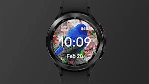 Blue Bird - Watch Face Screenshot 2
