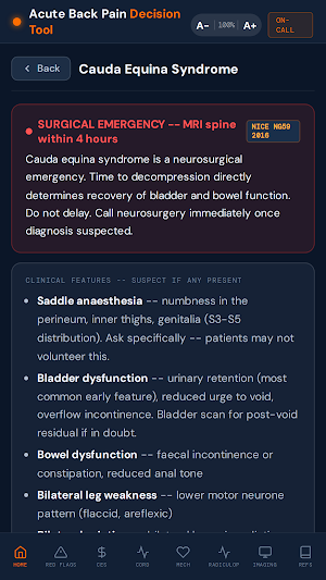 Acute Back Pain Decision Tool Screenshot 2