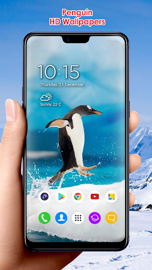 Penguin HD Wallpapers Screenshot 3