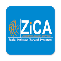 ZICA Revision Kit