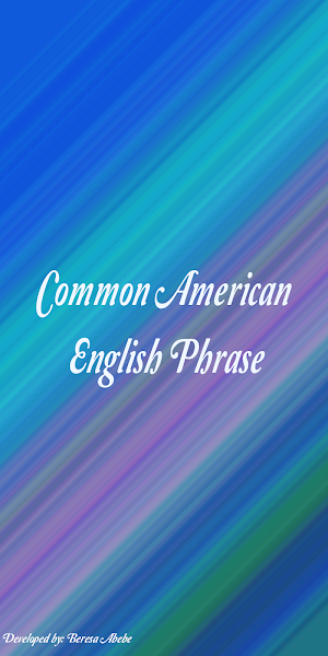 Common American English Phrase Screenshot 0