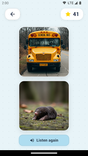 PikaLex: Learn with Flashcards Screenshot 3