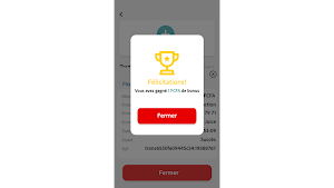 WoyofPay Screenshot 3