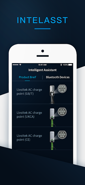 IntelAsst. Screenshot 2