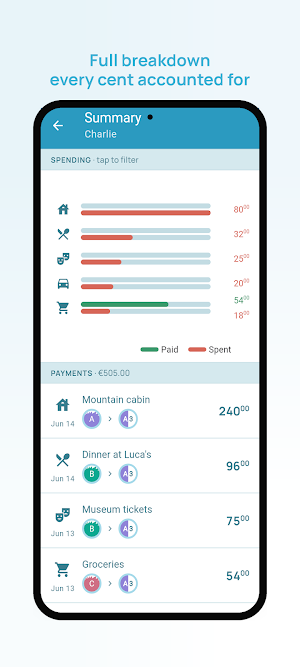 Debtster Screenshot 3