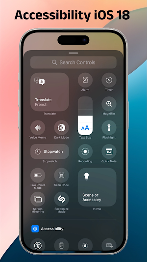 Control Center iOS 17 Screenshot 1